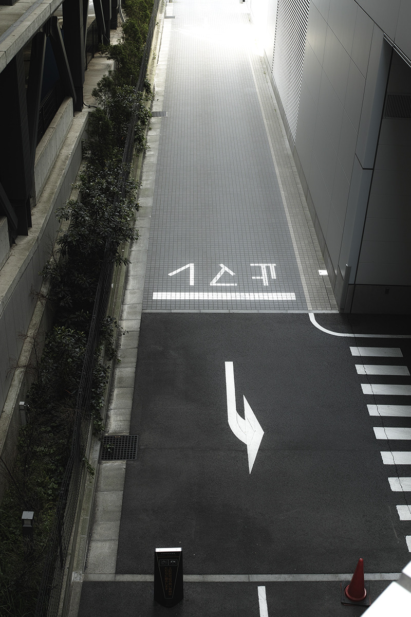 Archillect ID 209507