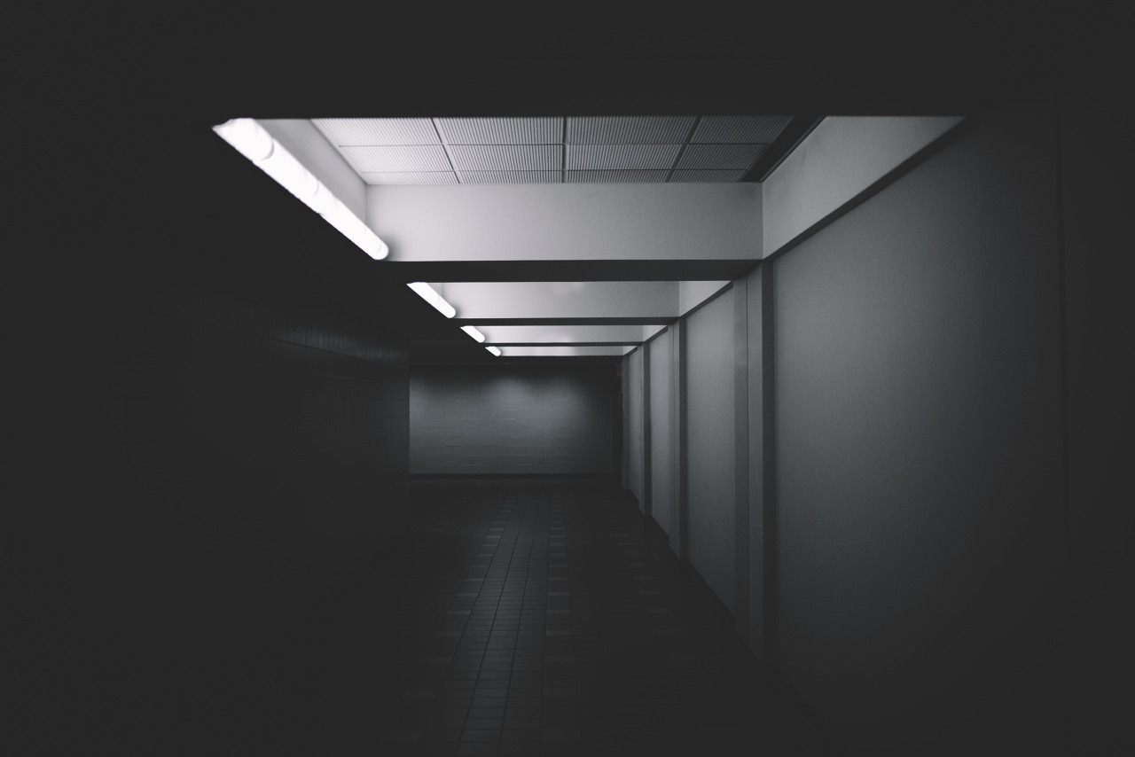 Archillect ID 210684