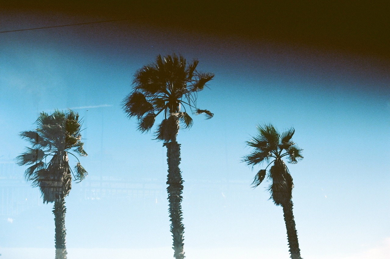 Archillect ID 210783