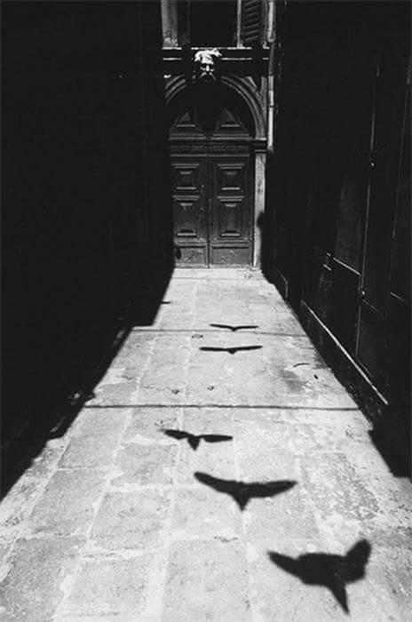 Archillect ID 211051