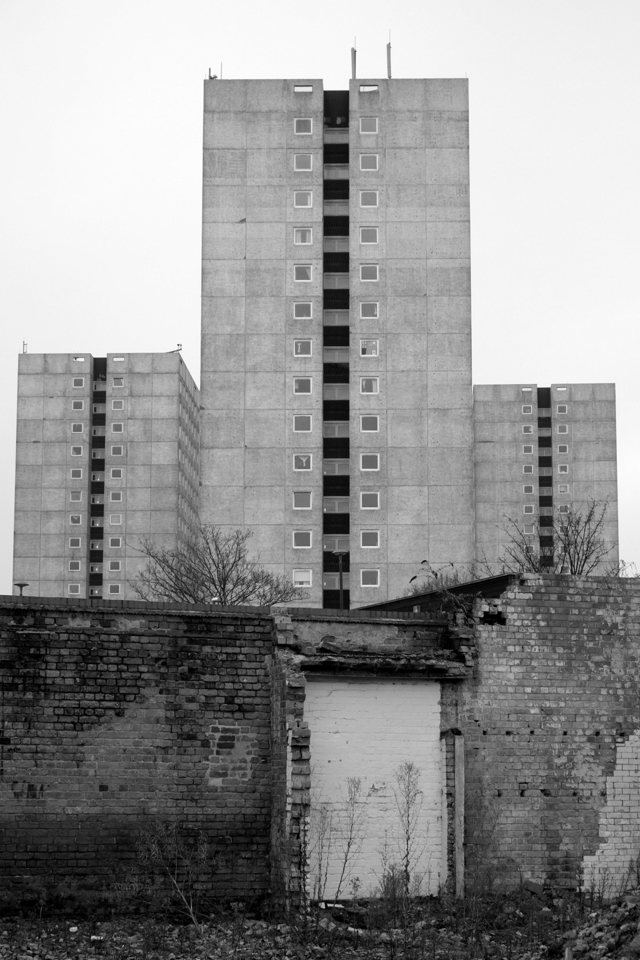 Archillect ID 211471