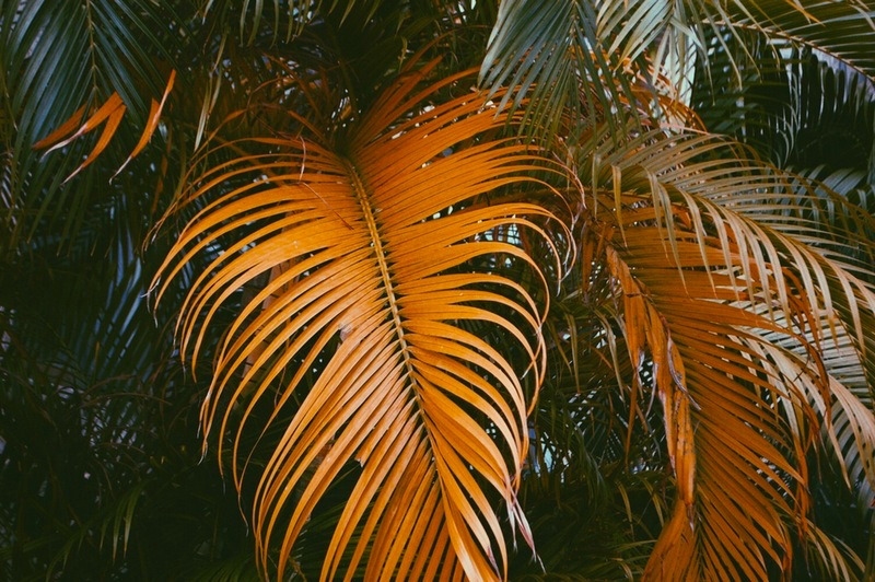 Archillect ID 212103