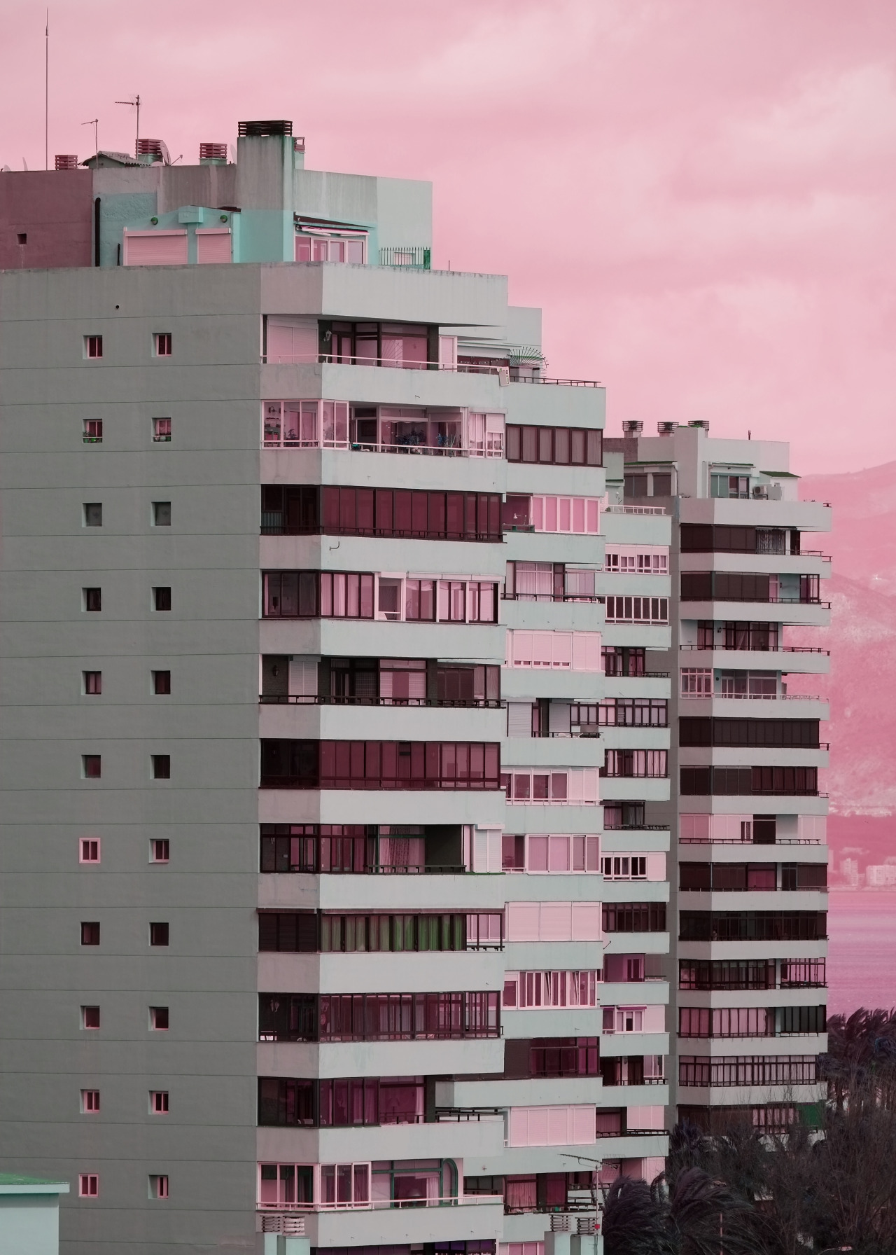 Archillect ID 212229