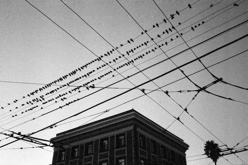 Archillect ID 212310