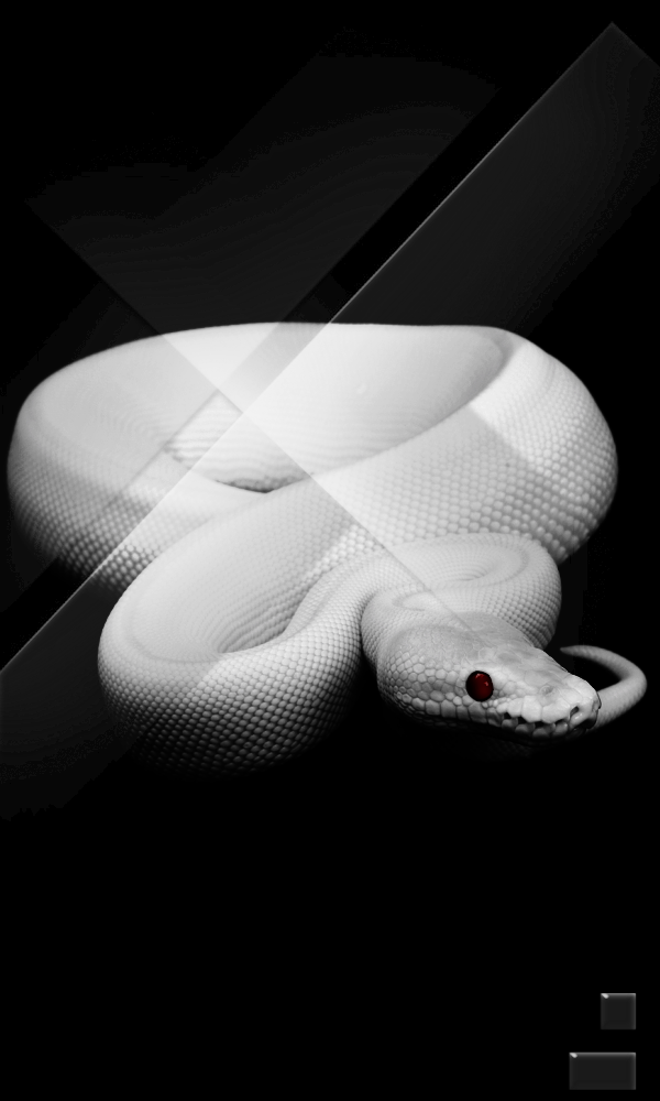 Archillect ID 212477