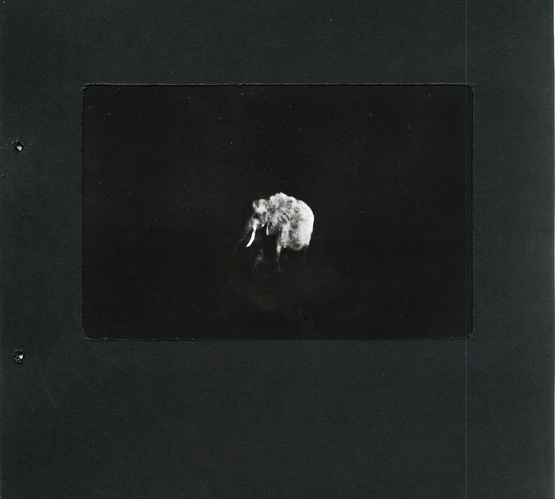 Archillect ID 212736