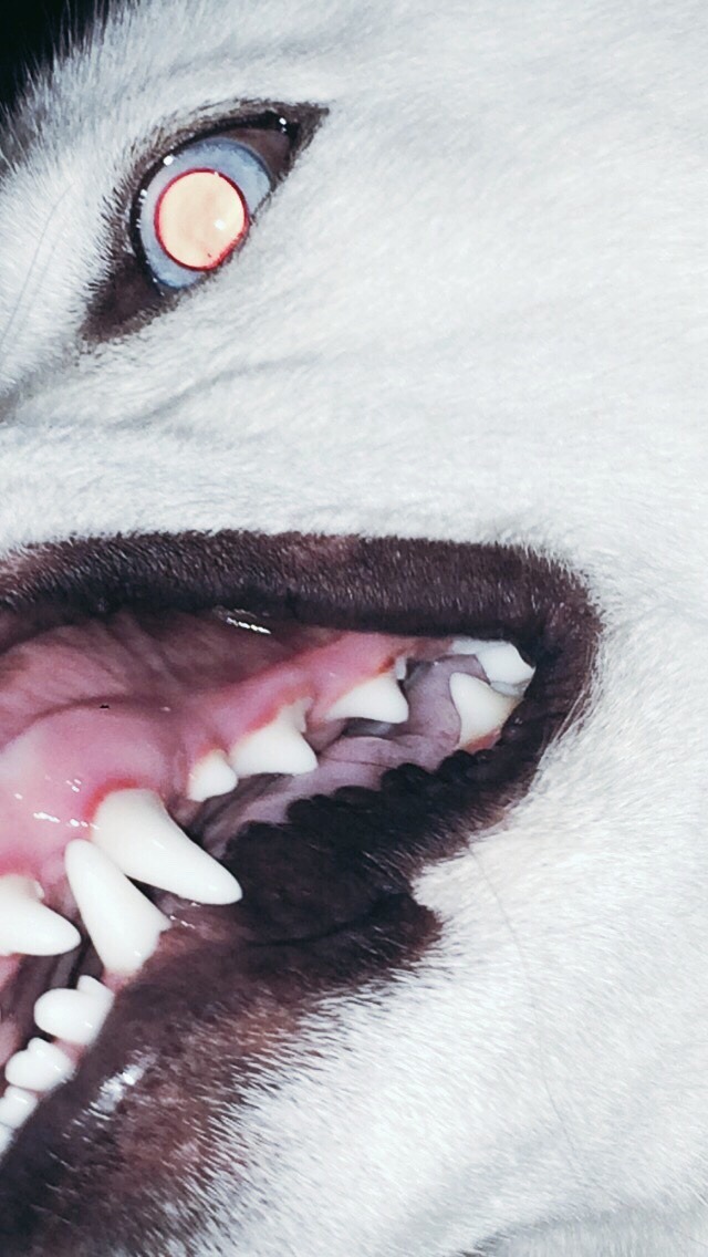 Archillect ID 212970