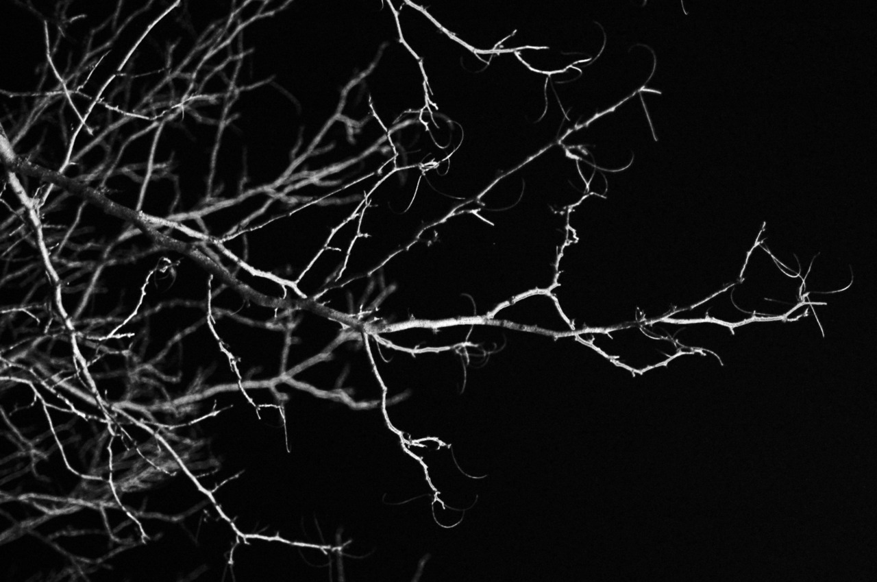 Archillect ID 213079