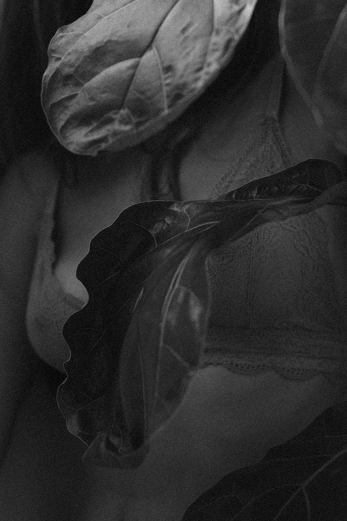 Archillect ID 213140