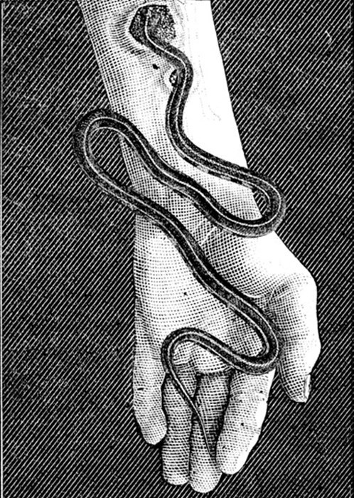 Archillect ID 213492