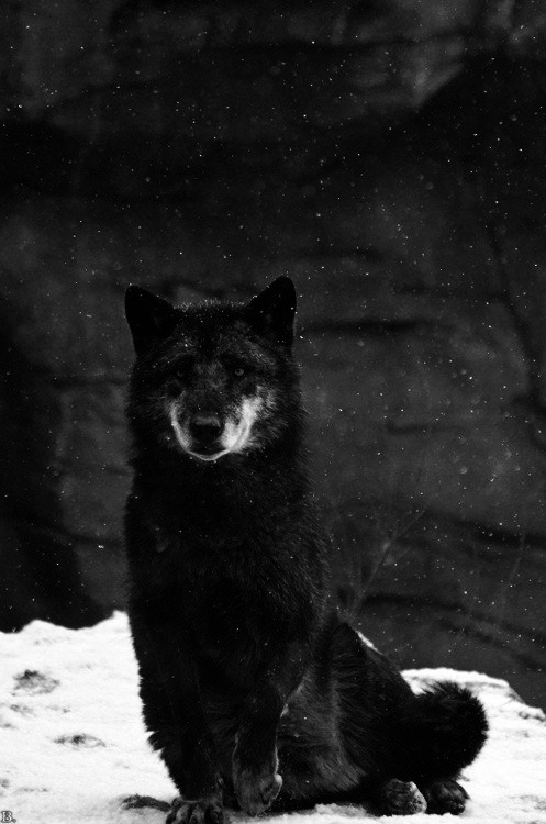 Archillect ID 213534