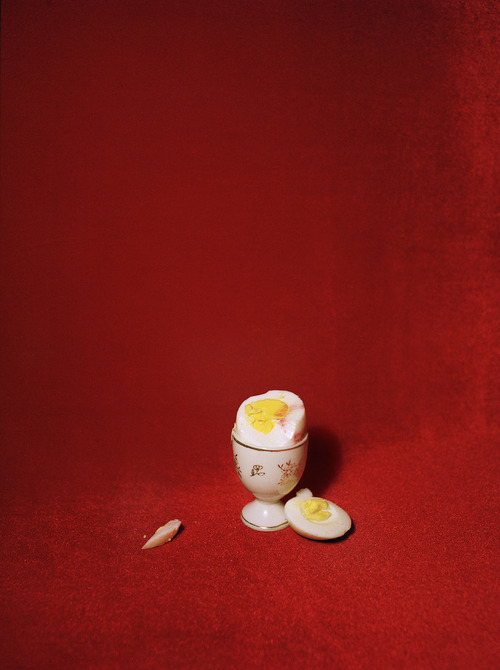 Archillect ID 213595