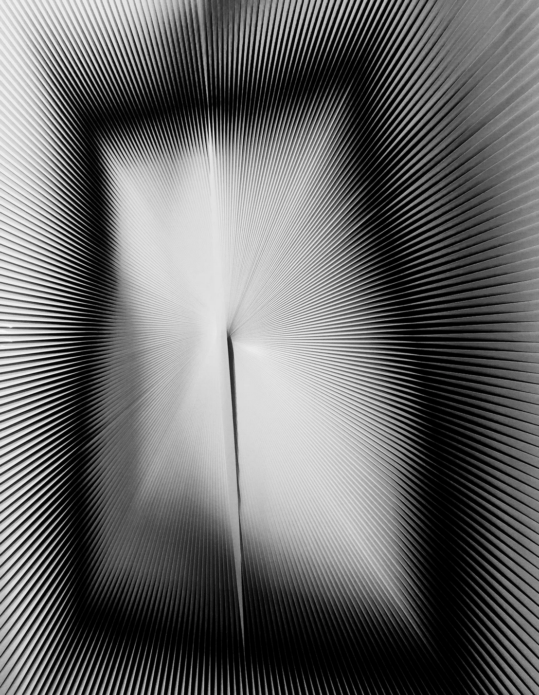Archillect ID 213677