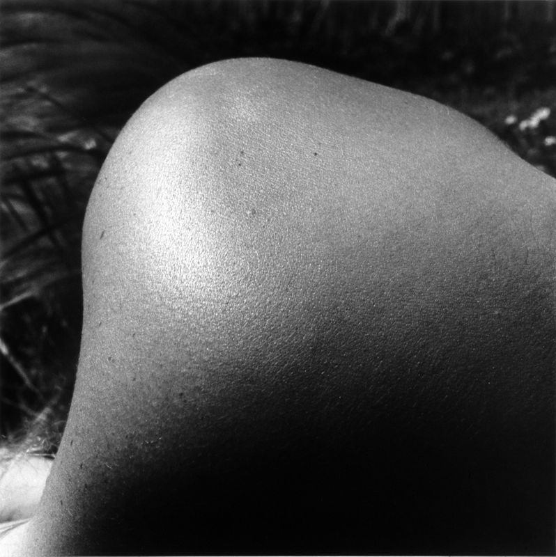 Archillect ID 213686