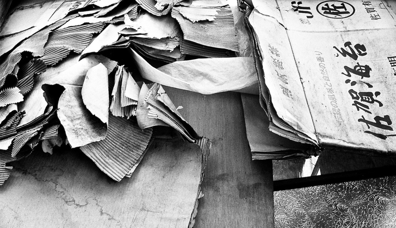 Archillect ID 213939