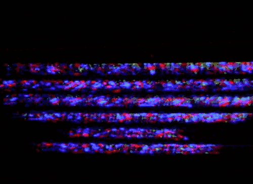 Archillect ID 214000