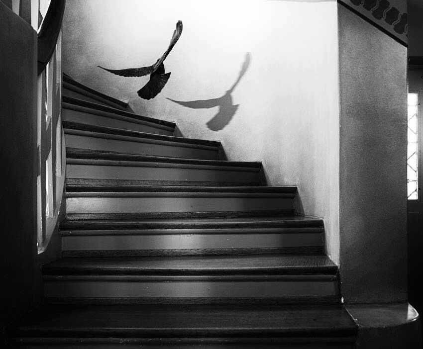 Archillect ID 214169