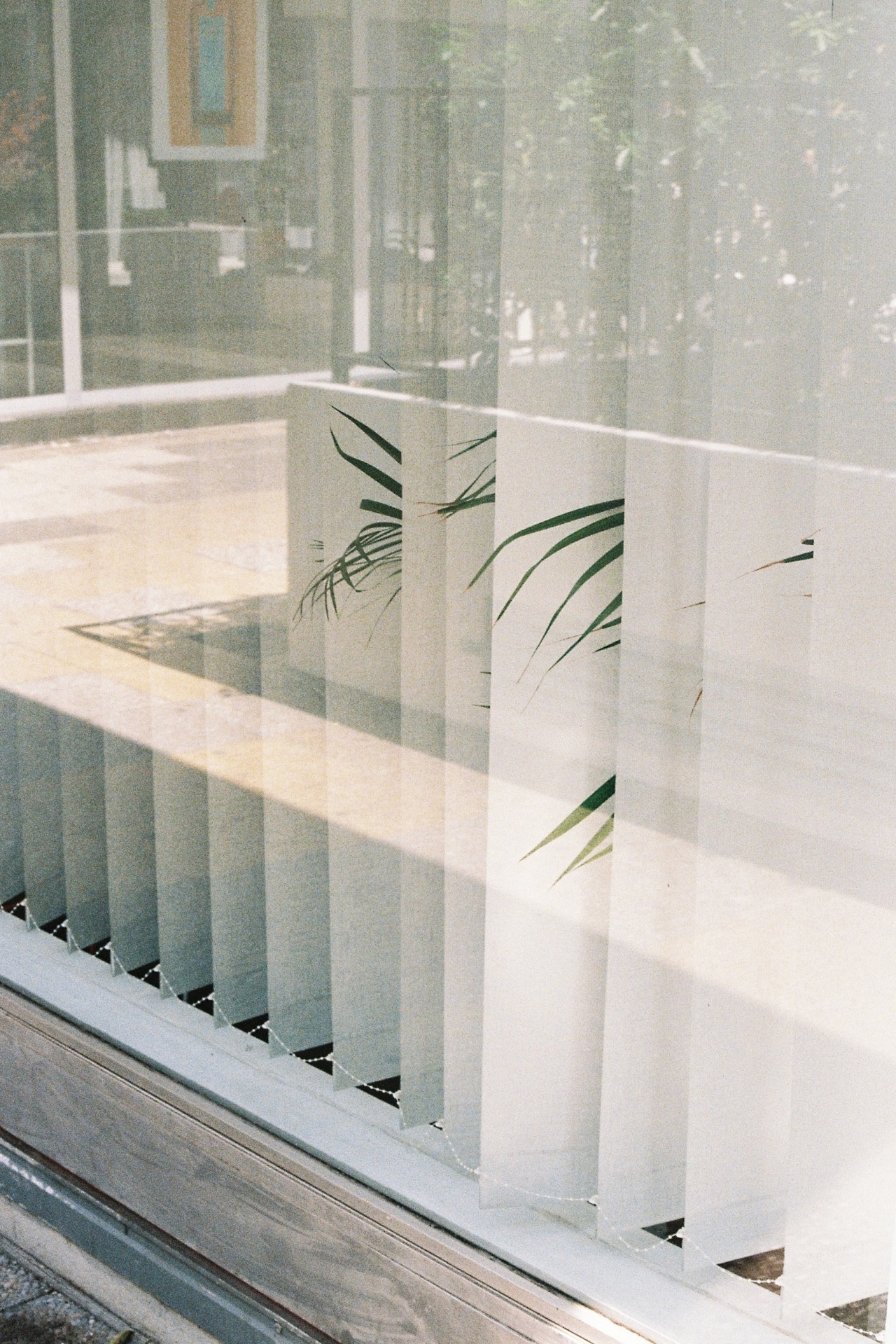 Archillect ID 214172