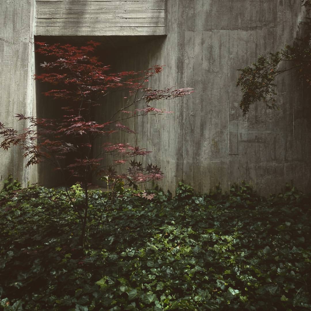 Archillect ID 214293