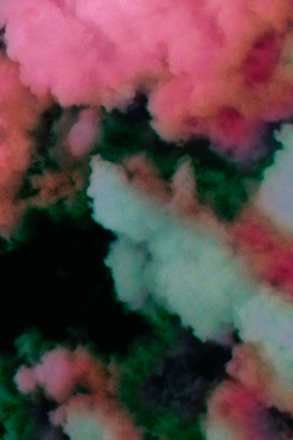 Archillect ID 214478