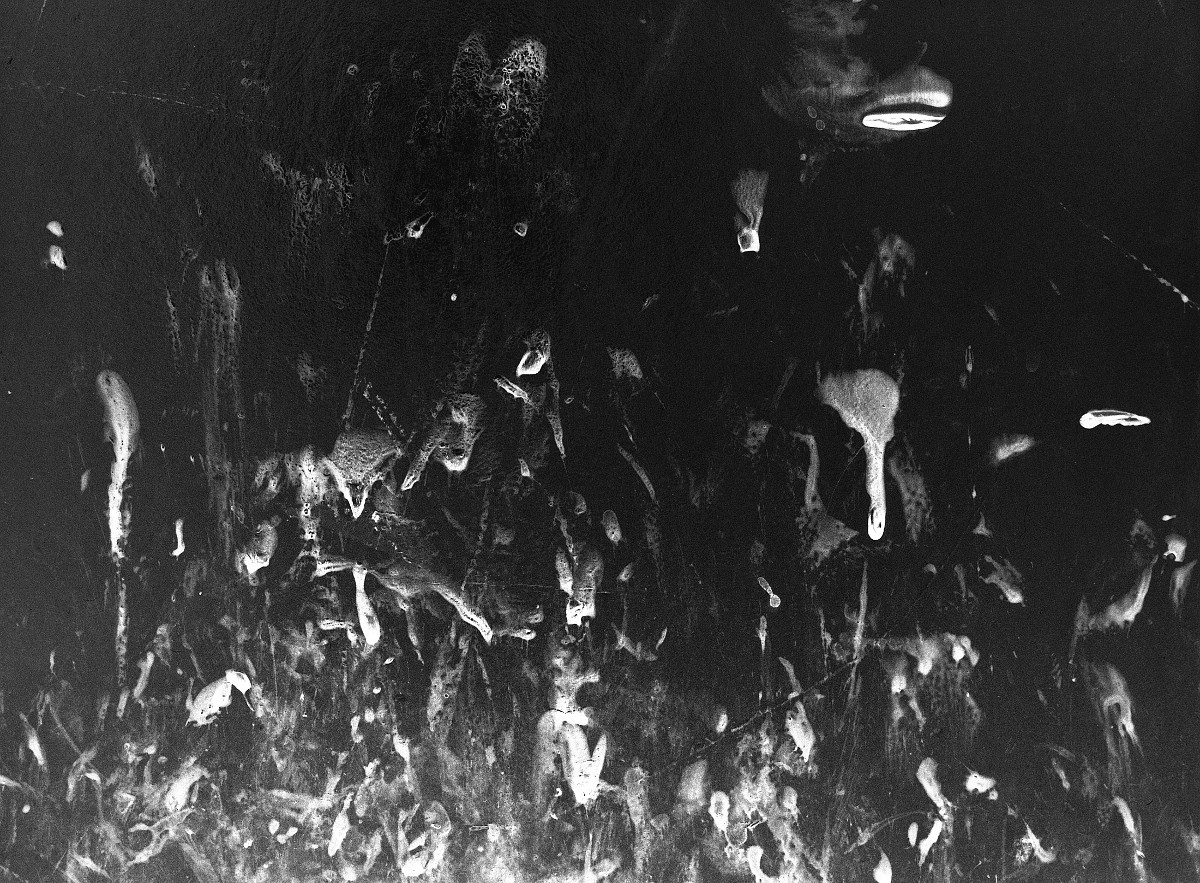 Archillect ID 214525