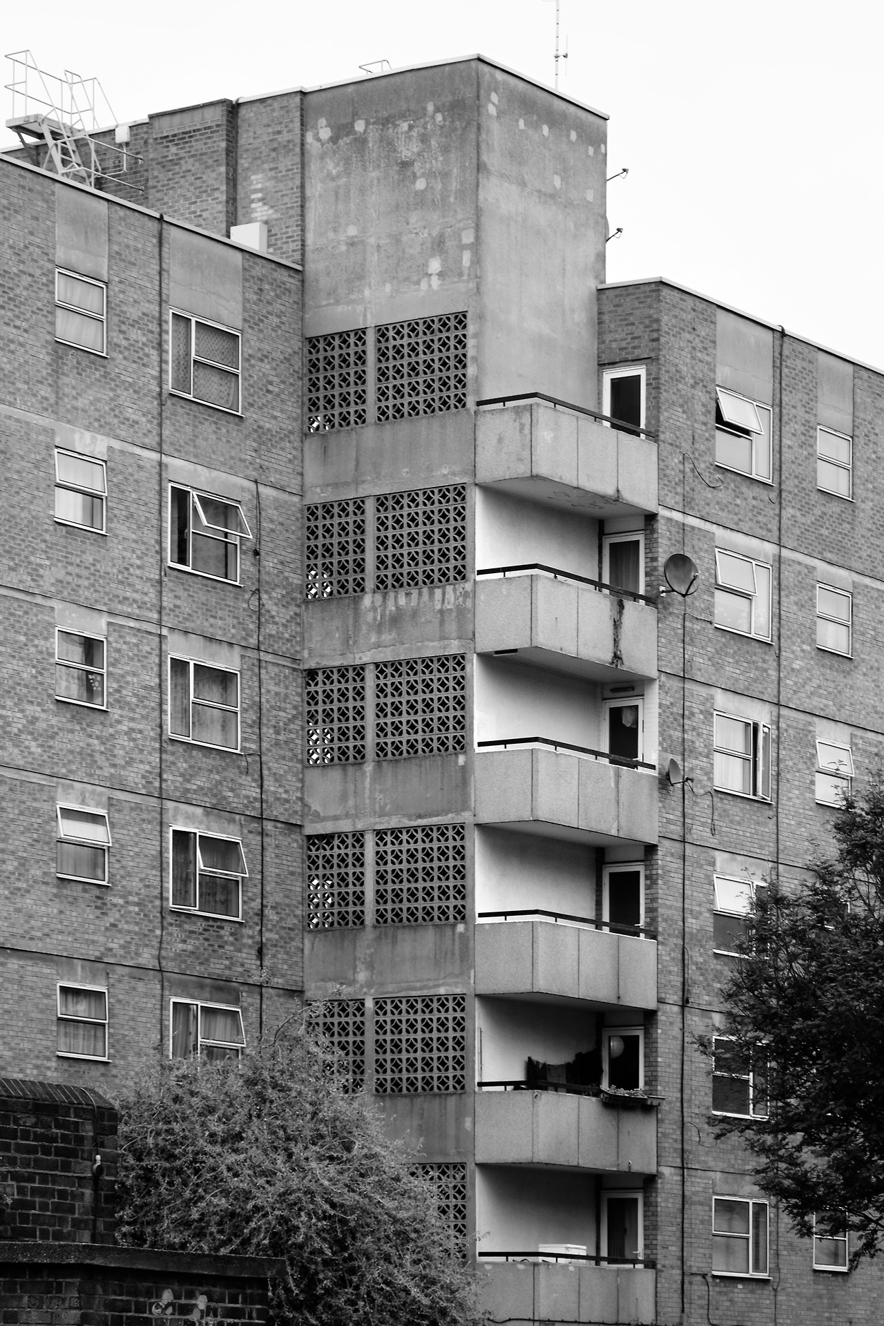 Archillect ID 214743