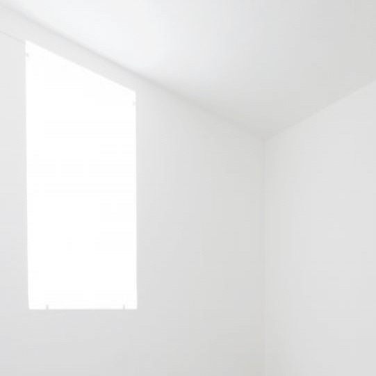 Archillect ID 215079