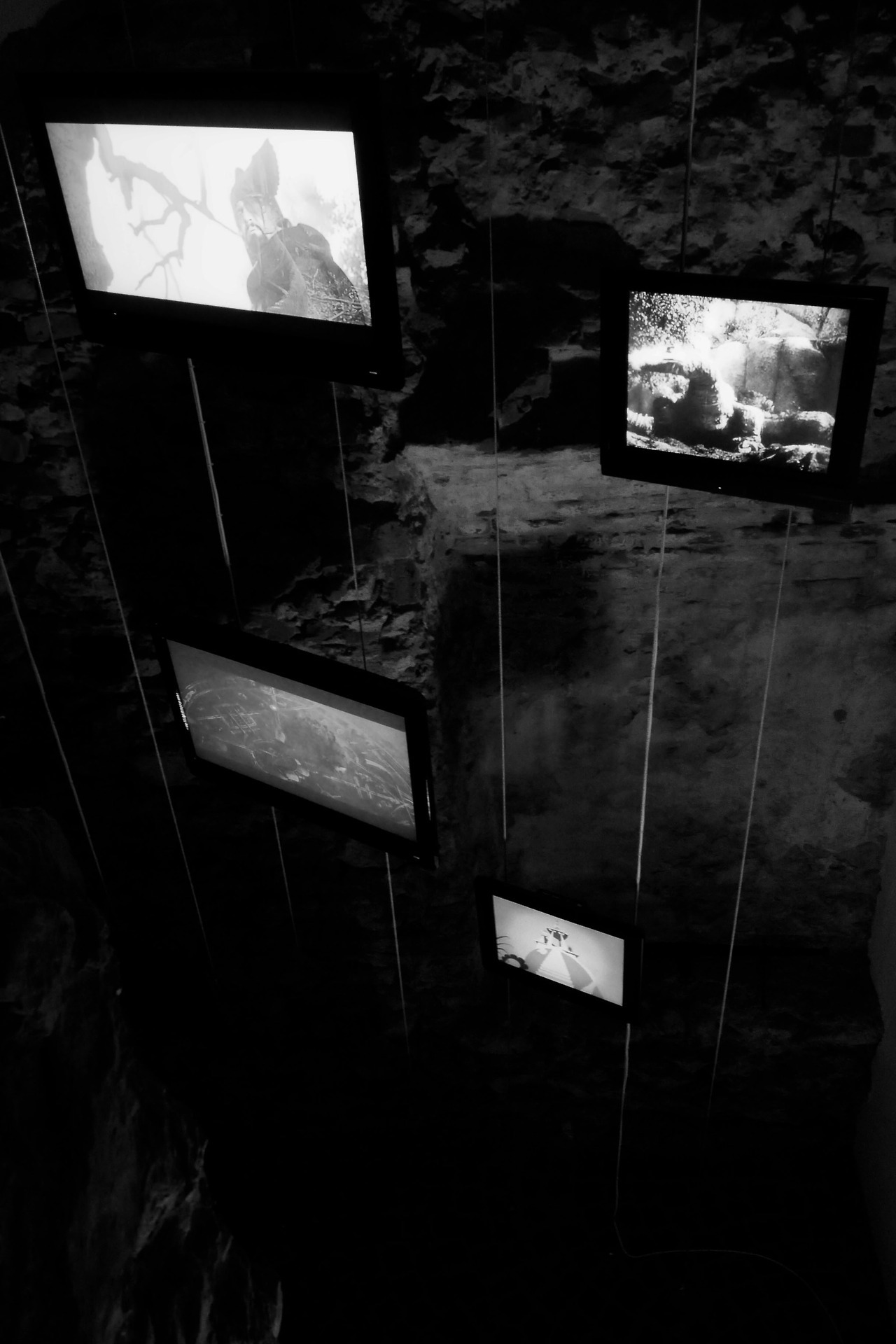 Archillect ID 215121