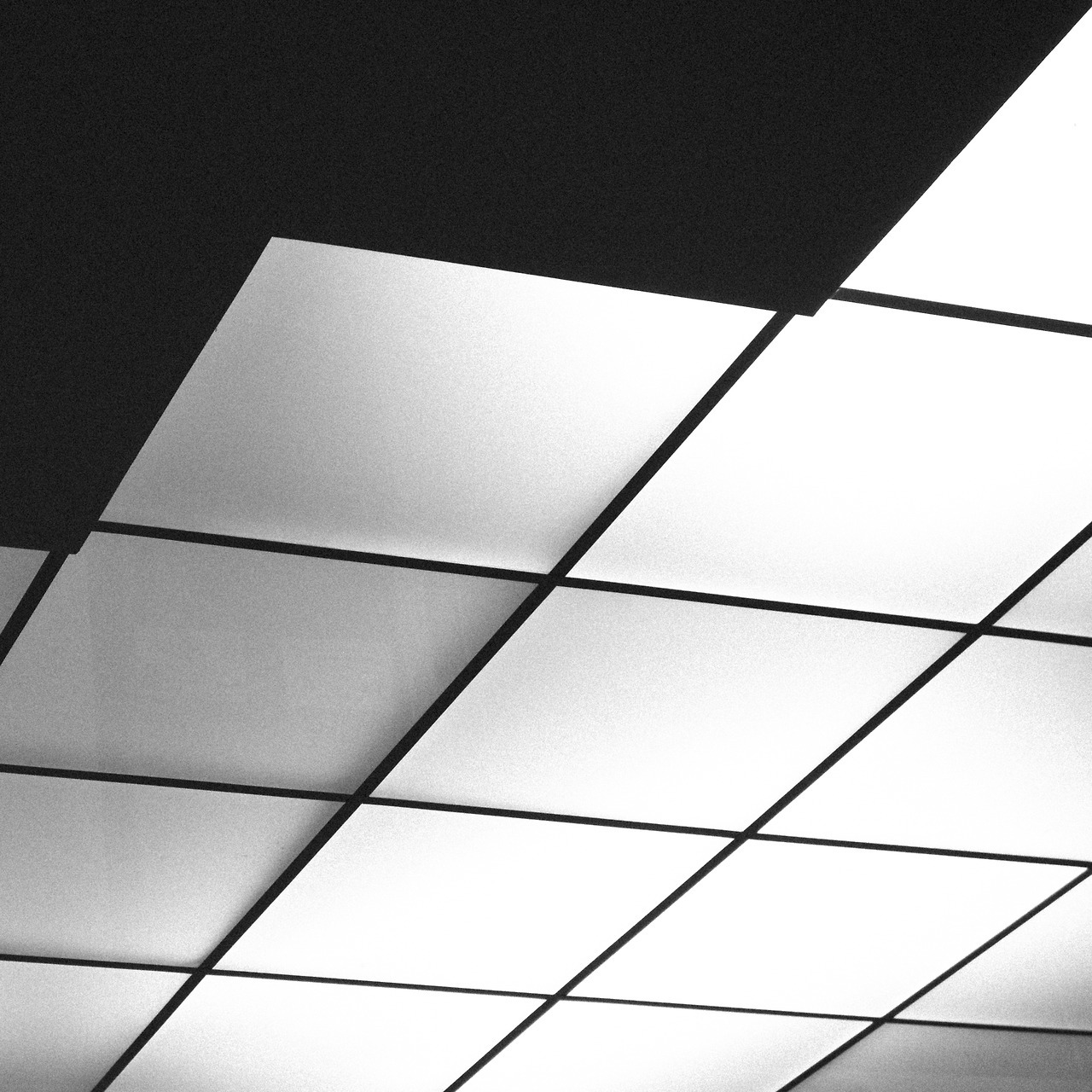 Archillect ID 215416
