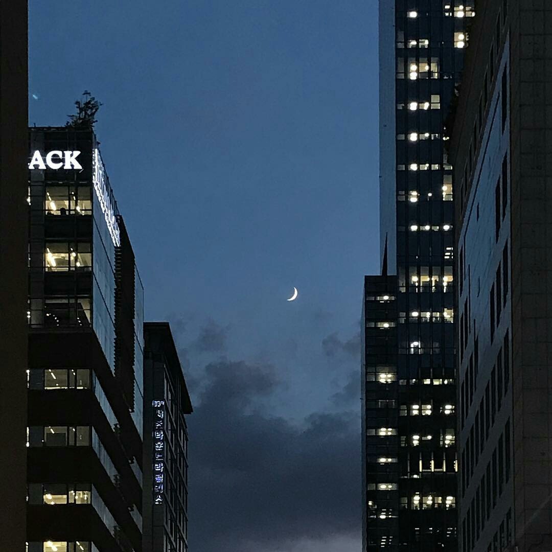 Archillect ID 215419