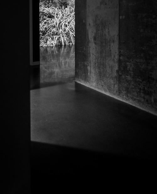 Archillect ID 215739