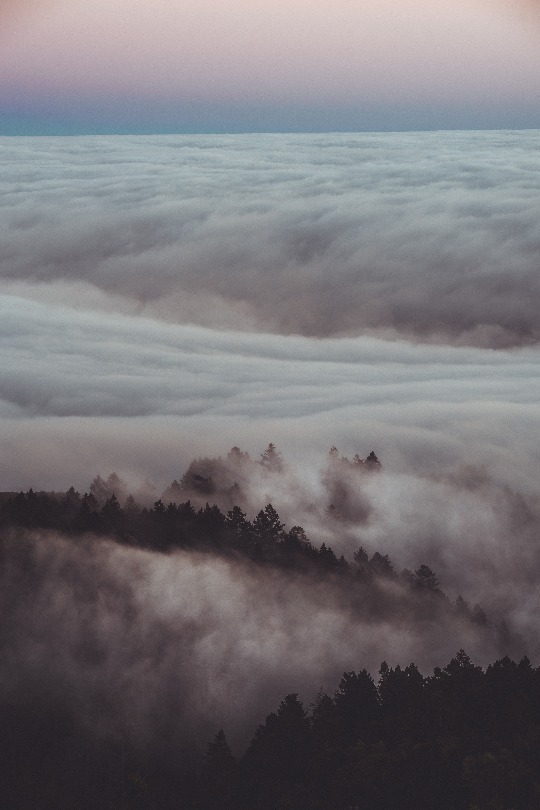 Archillect ID 215746