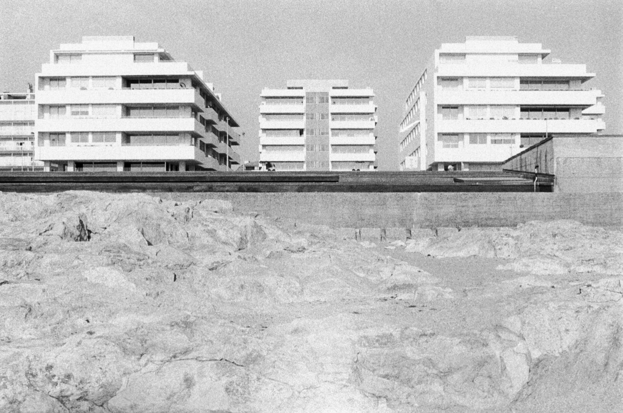 Archillect ID 216081