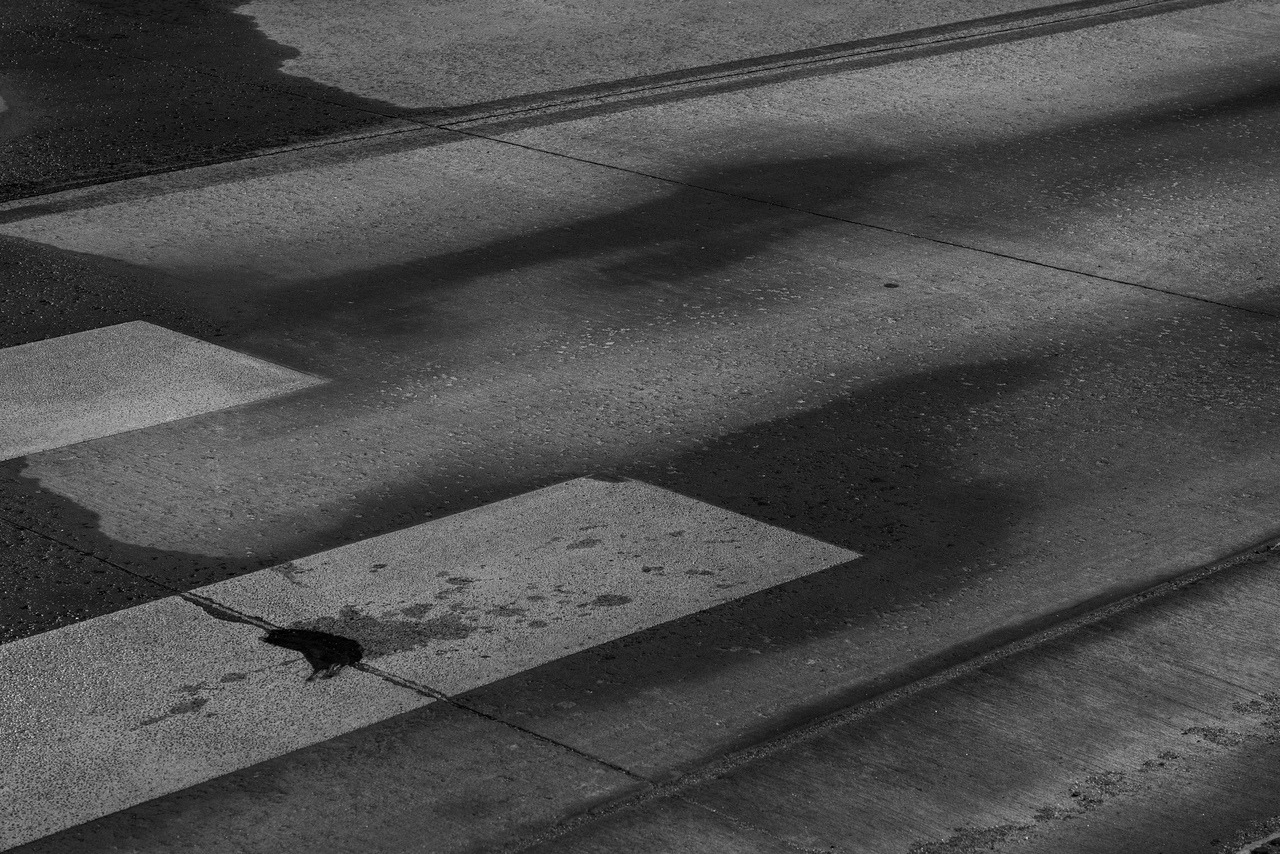 Archillect ID 216225