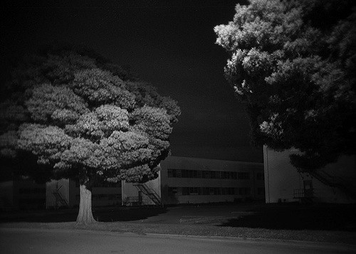 Archillect ID 216472