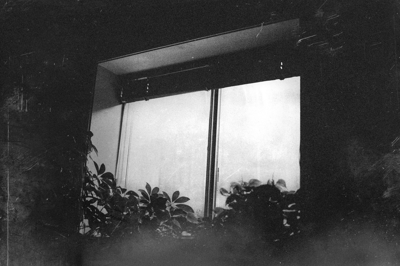 Archillect ID 216779