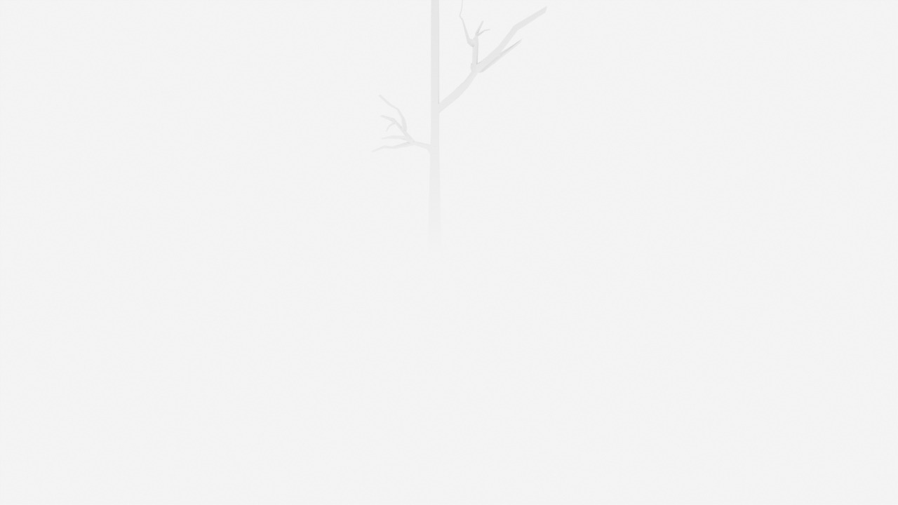 Archillect ID 216876