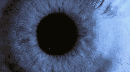 Archillect ID 216882