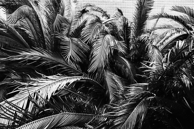 Archillect ID 217034