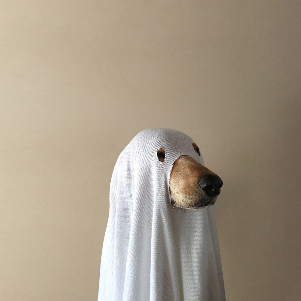Archillect ID 217695