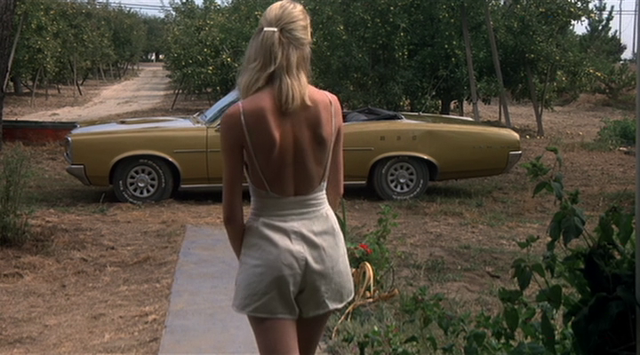 Archillect ID 217715