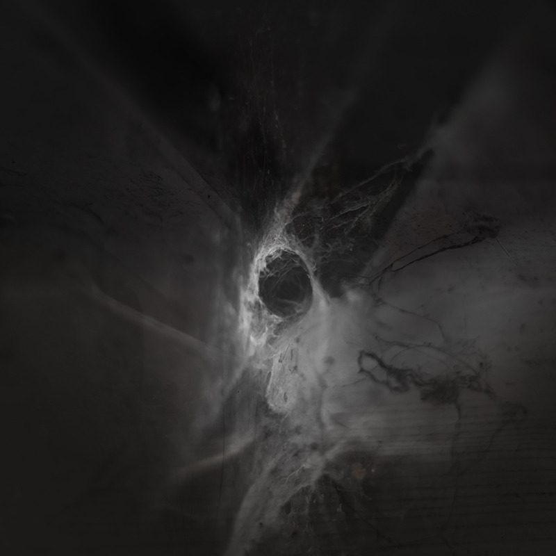 Archillect ID 217843
