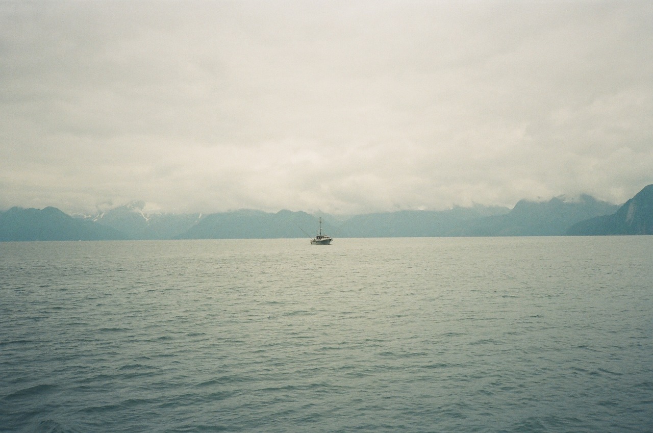 Archillect ID 217889