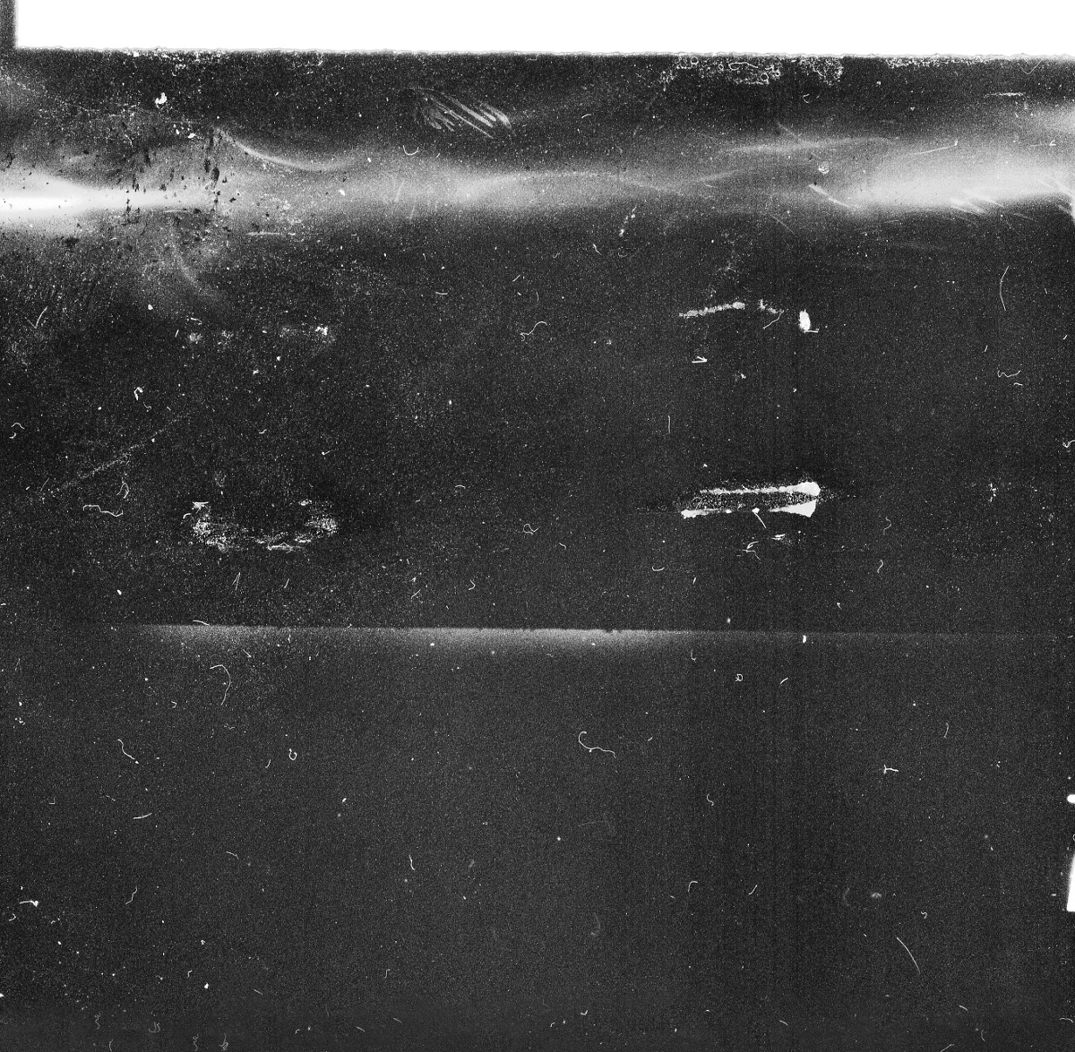 Archillect ID 217909