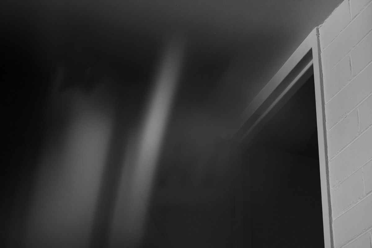 Archillect ID 217972