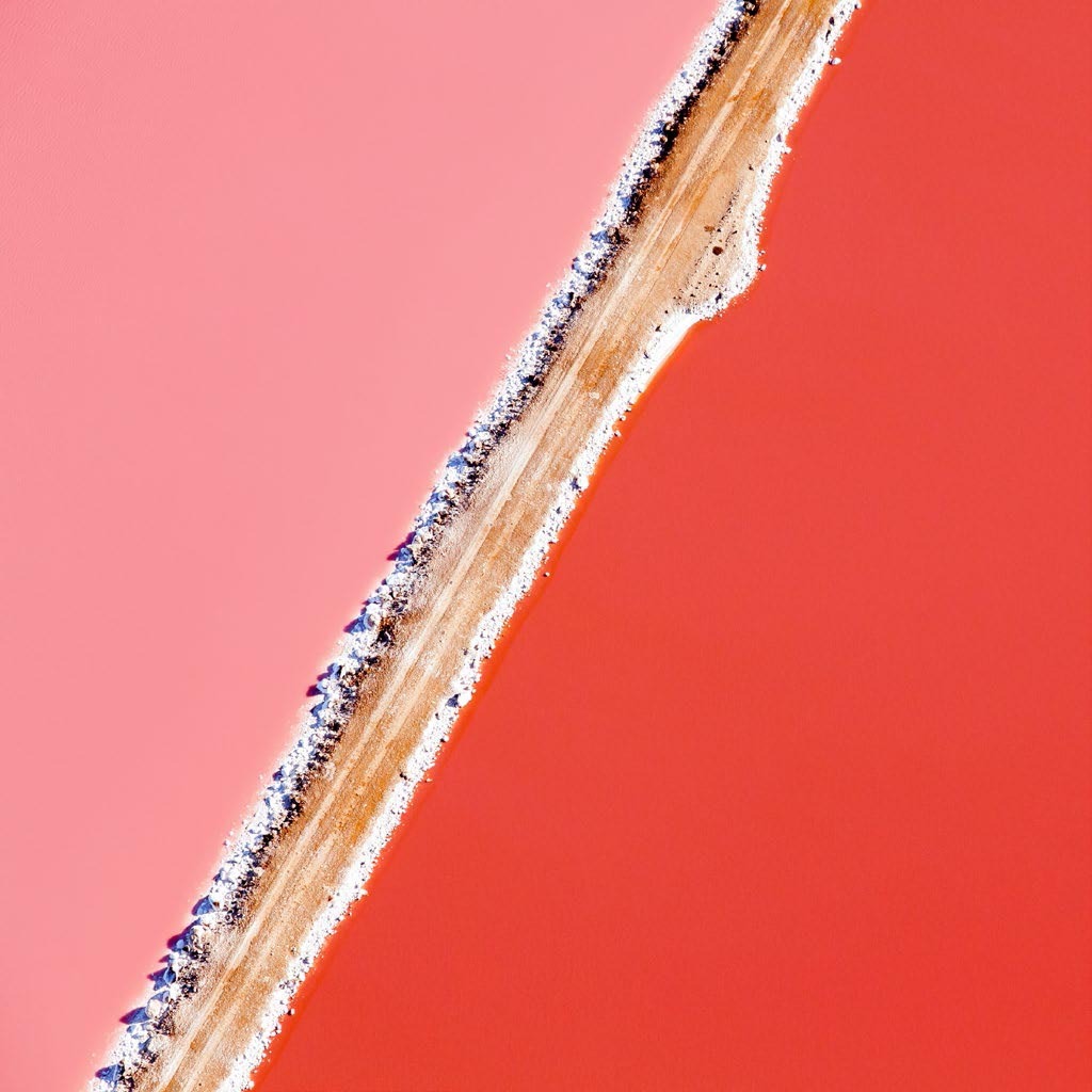 Archillect ID 218295
