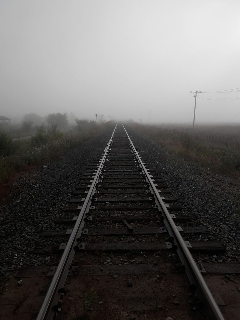 Archillect ID 218631