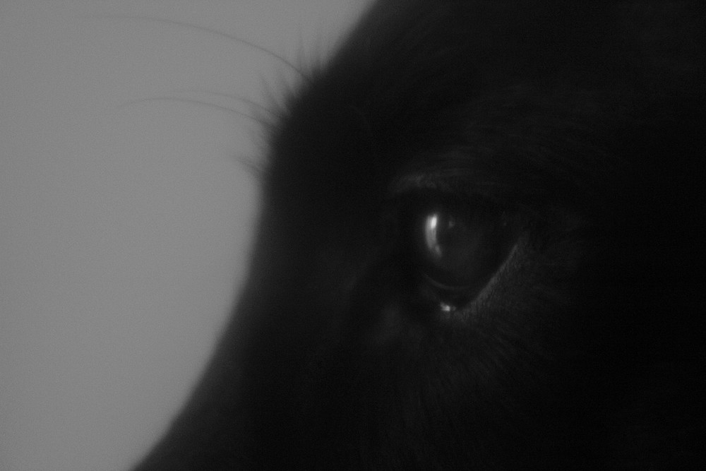 Archillect ID 218685