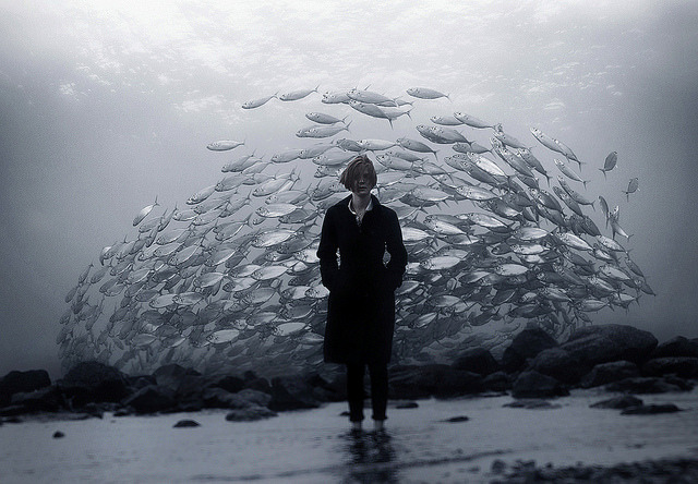 Archillect ID 219361
