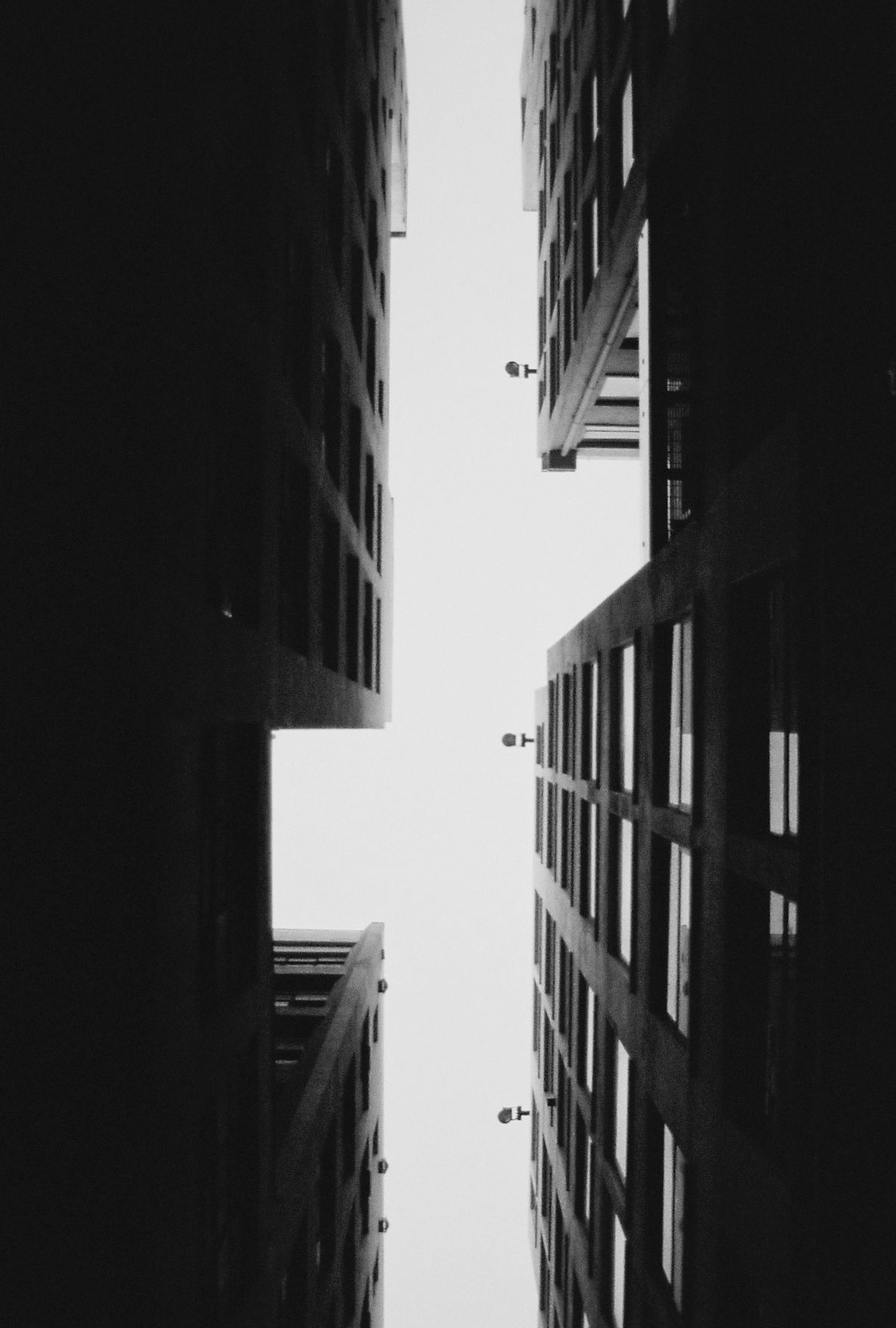 Archillect ID 219442